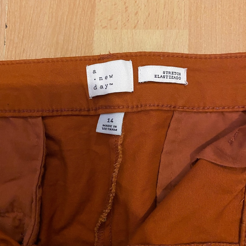 Rust Shorts - Picture 3 of 6